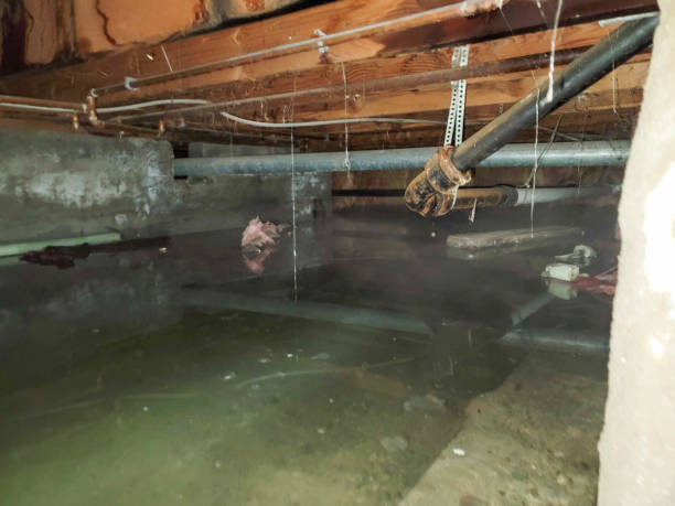 Professional Water damage restoration in Boonville, CA