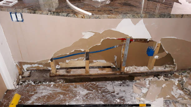 Best Professional water damage repair  in Boonville, CA