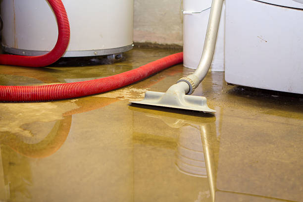 Best Basement water damage restoration  in Boonville, CA